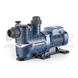 Elettropompa | PEDROLLO | per Piscina | Monofase | MAGNIFICA 5m | Q.max 700 l/min | H.max 22 mt | Hp 3